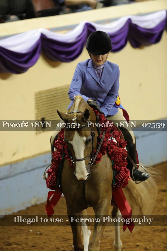Proof 18YN_07559
