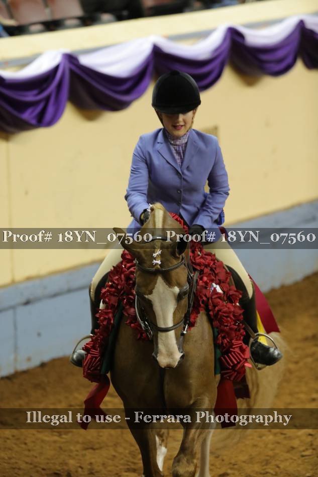 Proof 18YN_07560