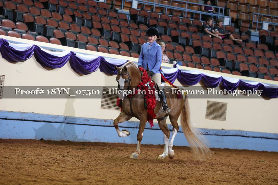 Proof 18YN_07561