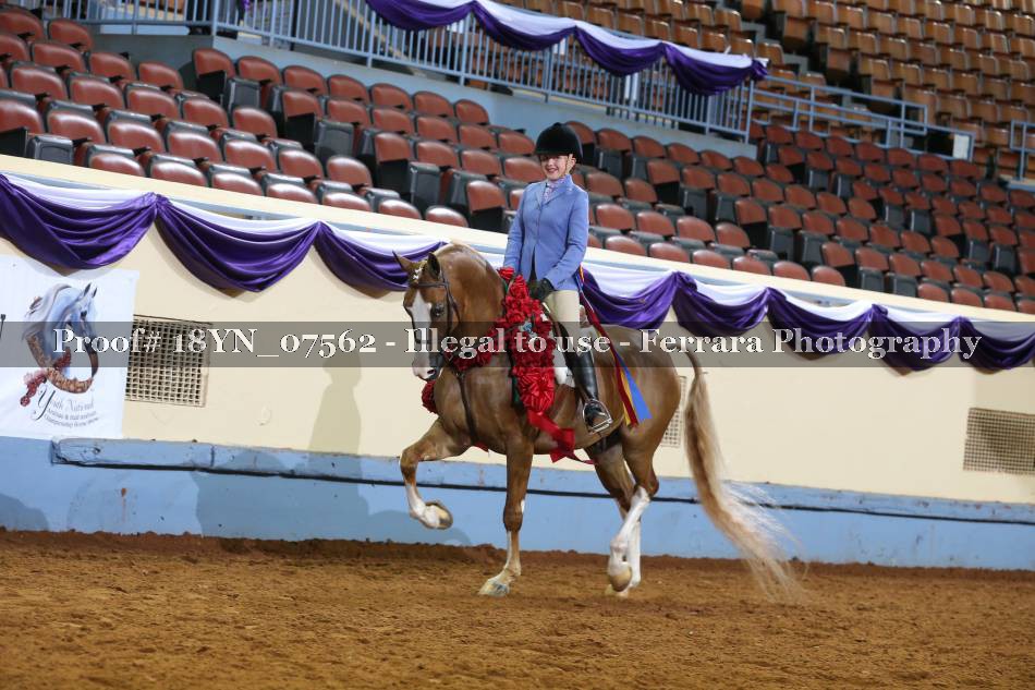 Proof 18YN_07562