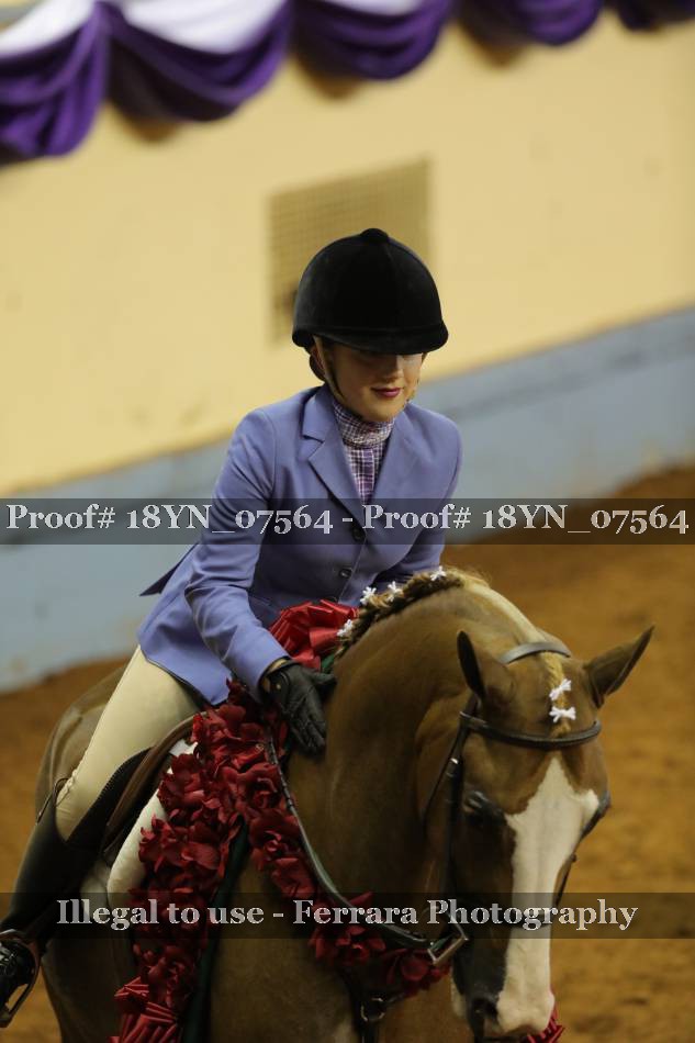 Proof 18YN_07564