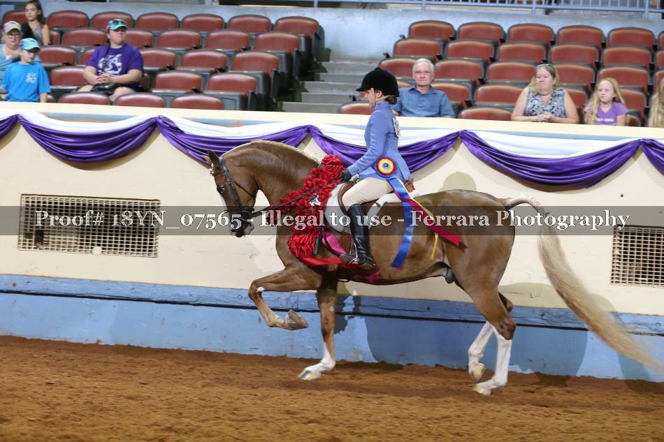 Proof 18YN_07565
