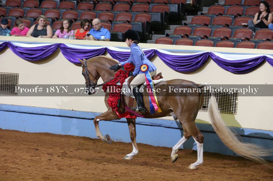Proof 18YN_07567
