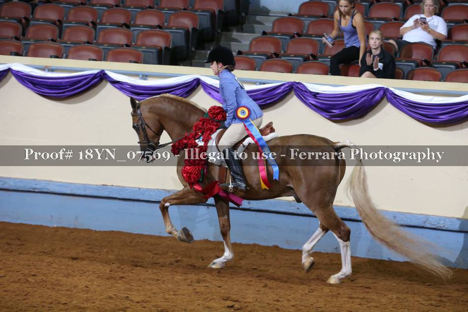 Proof 18YN_07569