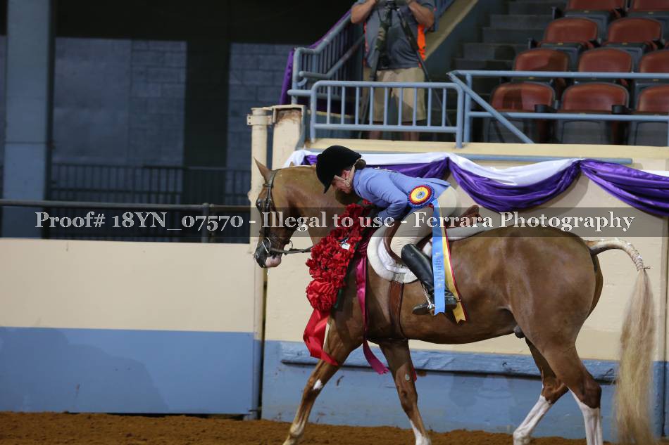 Proof 18YN_07570