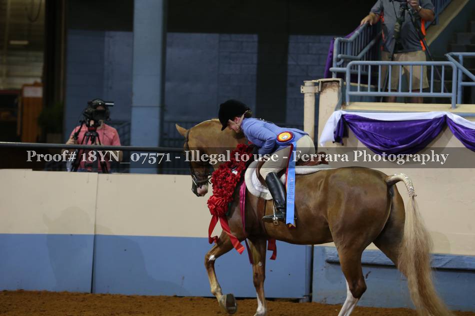 Proof 18YN_07571