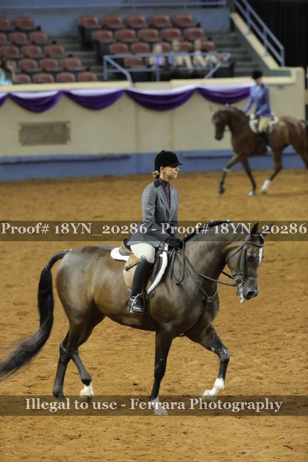 Proof 18YN_20286