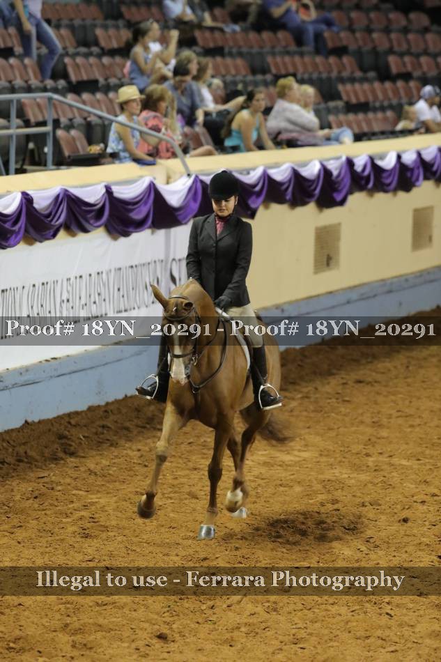 Proof 18YN_20291