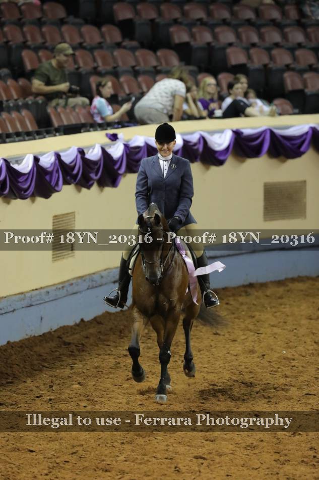 Proof 18YN_20316
