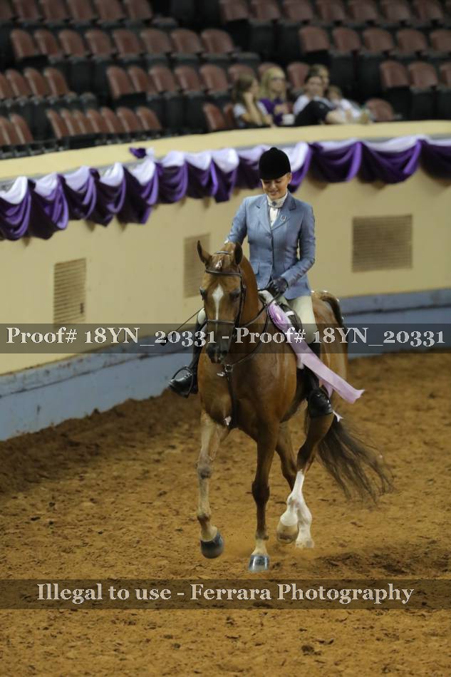 Proof 18YN_20331