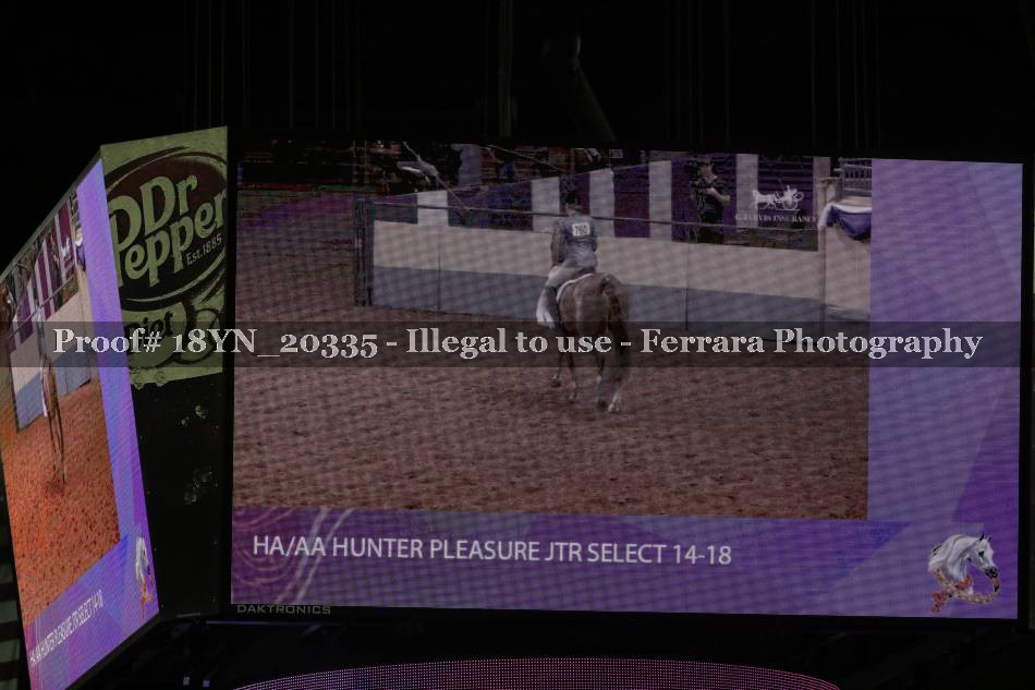 Proof 18YN_20335