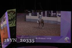 18YN_20335 proof