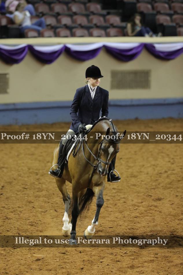 Proof 18YN_20344