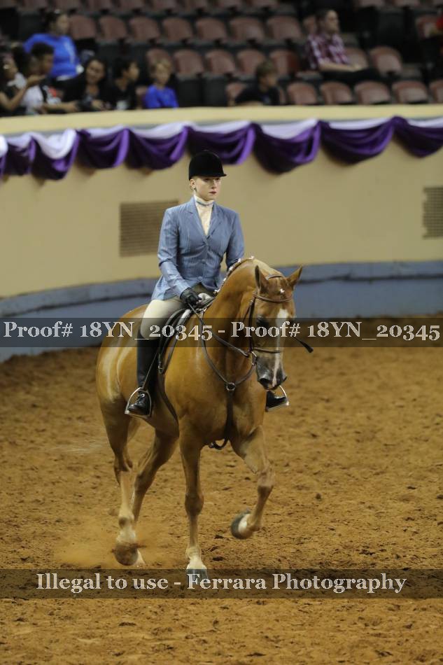 Proof 18YN_20345