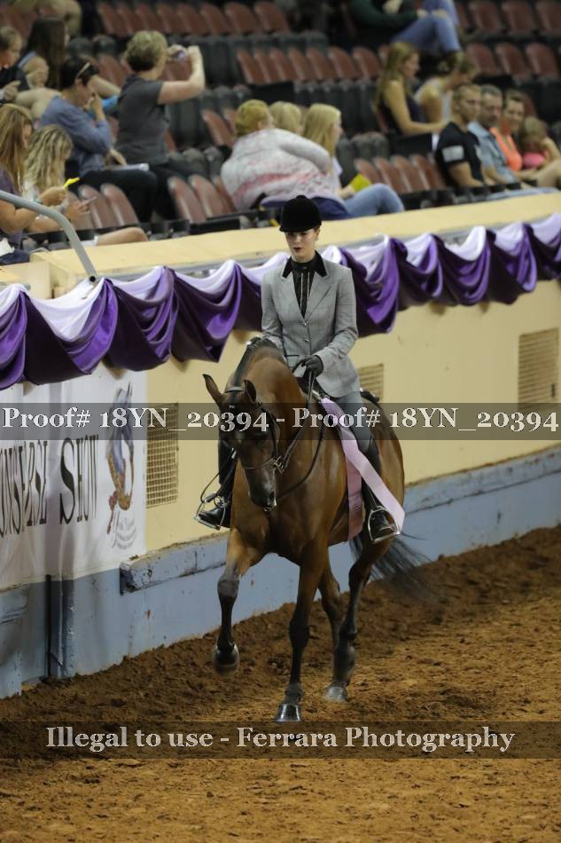 Proof 18YN_20394