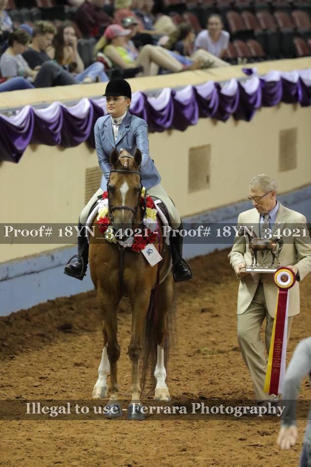 Proof 18YN_34021