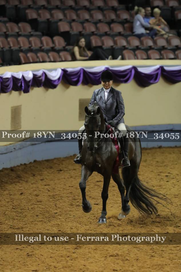 Proof 18YN_34055