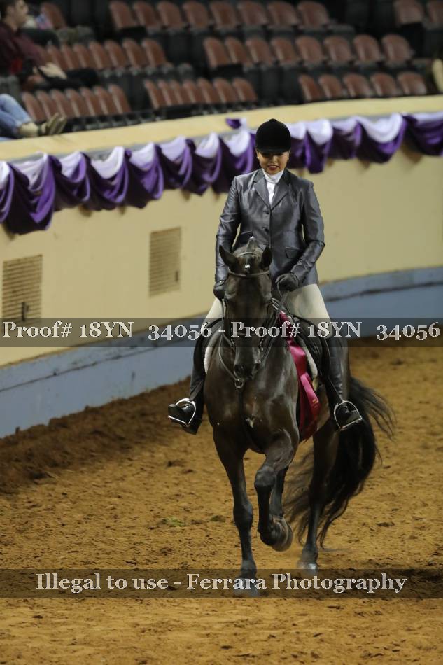Proof 18YN_34056