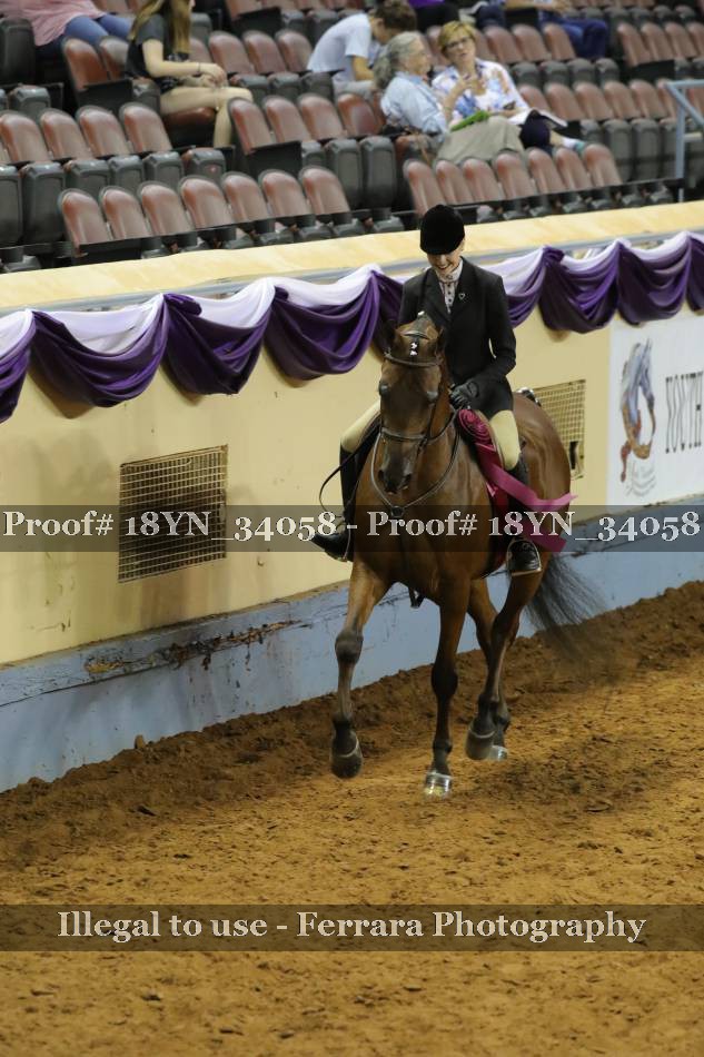 Proof 18YN_34058