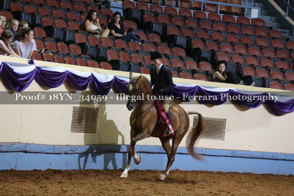 Proof 18YN_34059