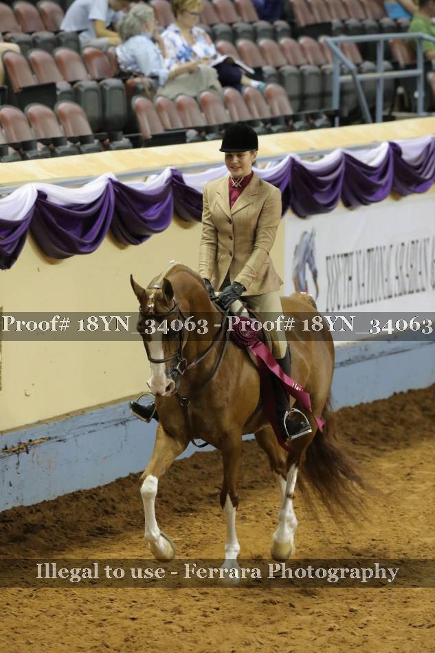 Proof 18YN_34063