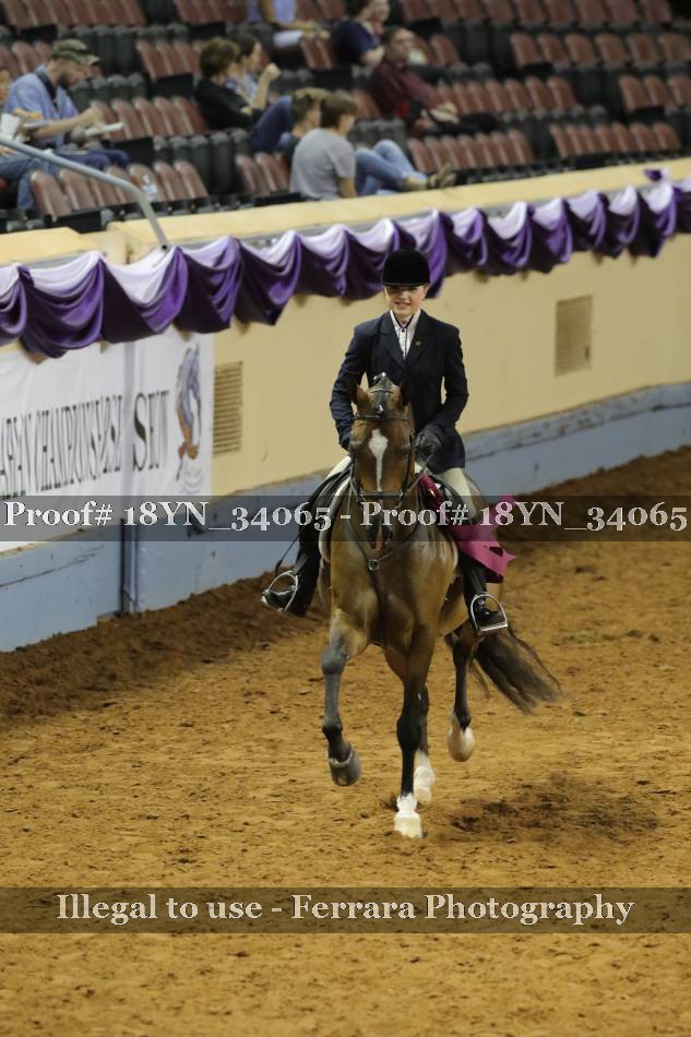 Proof 18YN_34065
