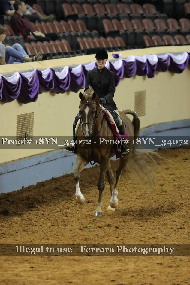Proof 18YN_34072