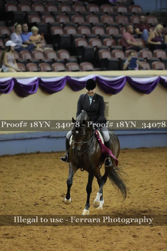 Proof 18YN_34078