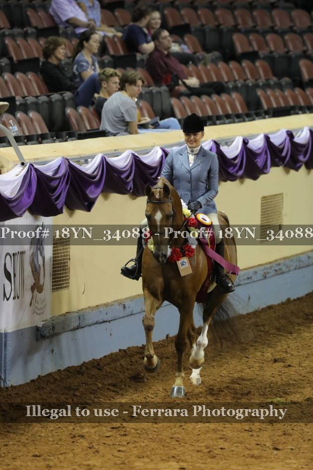Proof 18YN_34088