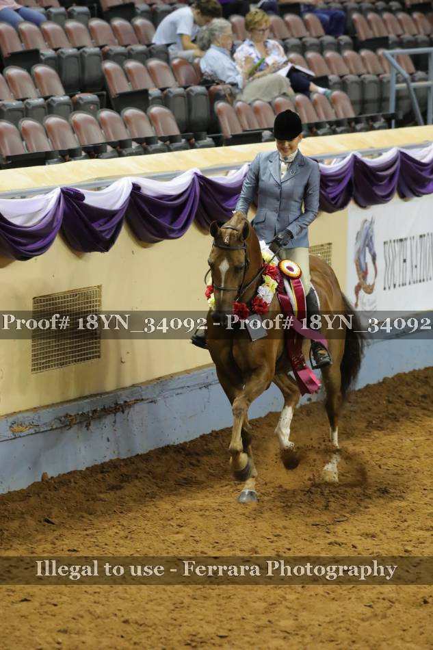 Proof 18YN_34092