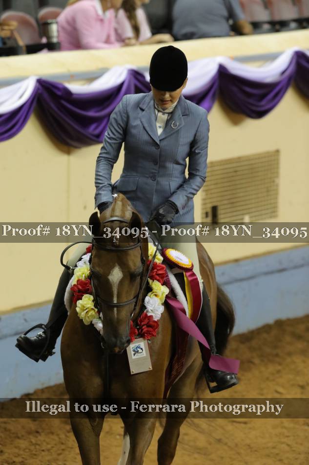 Proof 18YN_34095