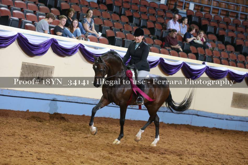 Proof 18YN_34141