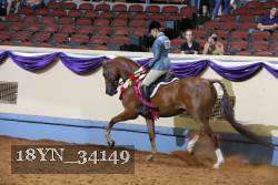 18YN_34149 proof