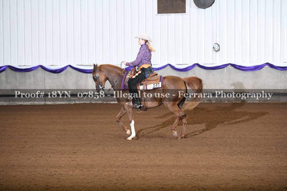 Proof 18YN_07858