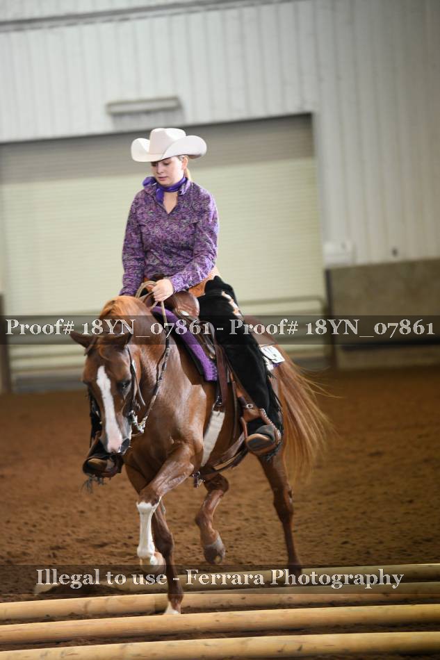 Proof 18YN_07861