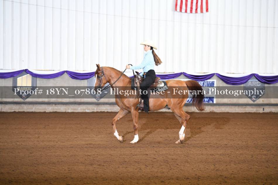Proof 18YN_07868