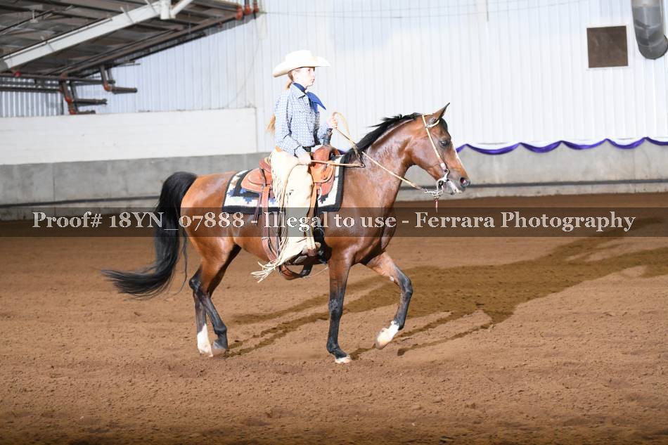 Proof 18YN_07888