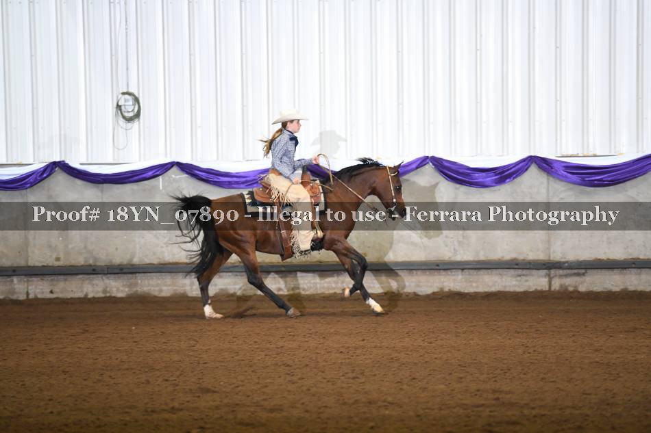 Proof 18YN_07890