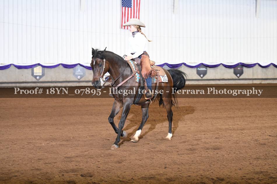Proof 18YN_07895