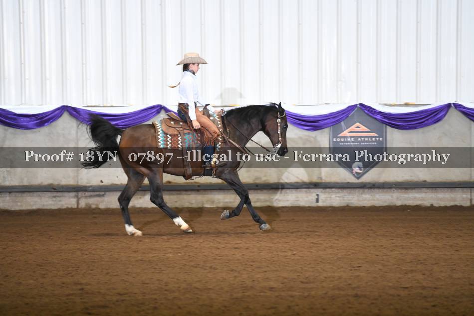 Proof 18YN_07897