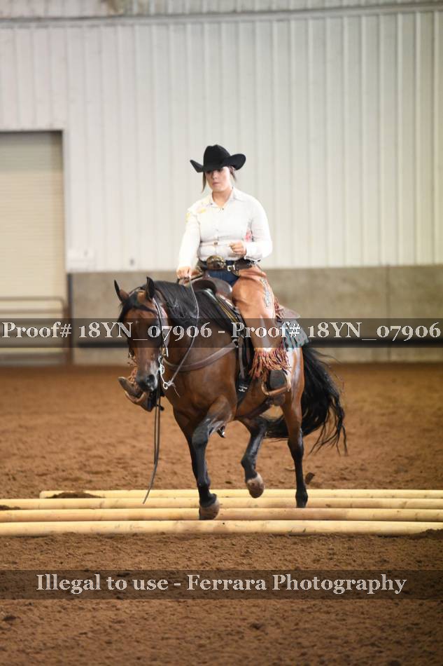 Proof 18YN_07906