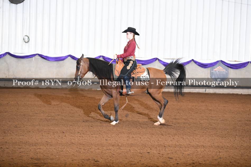 Proof 18YN_07908