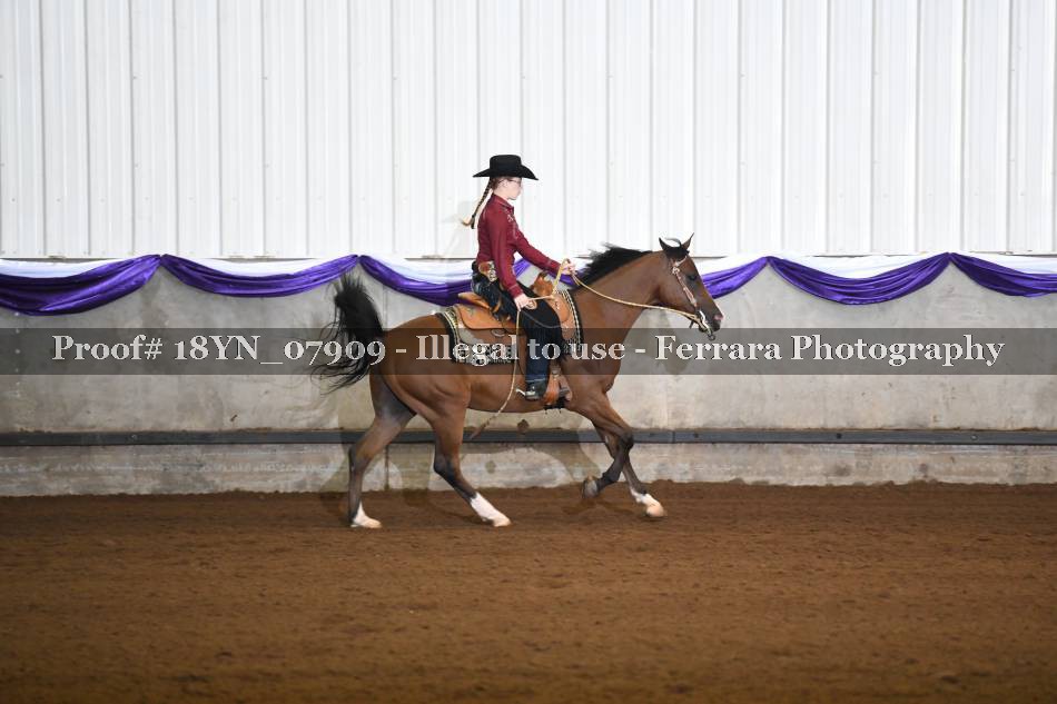 Proof 18YN_07909