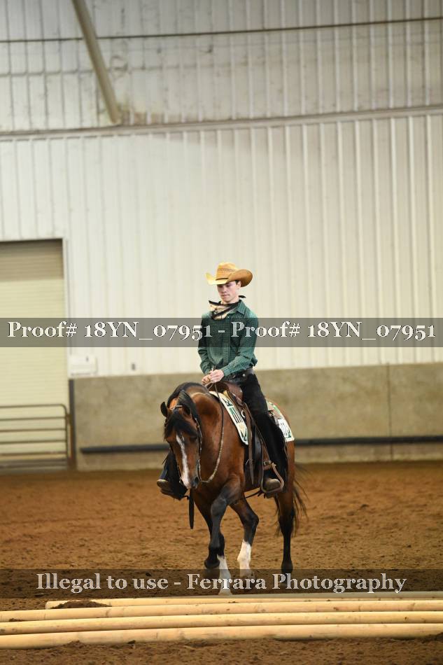 Proof 18YN_07951
