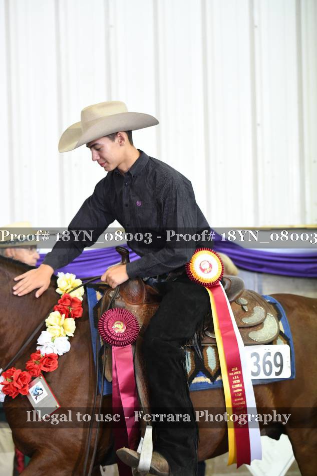 Proof 18YN_08003
