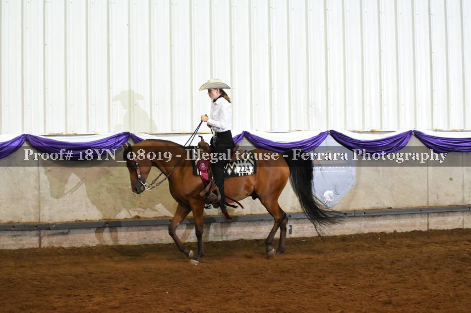 Proof 18YN_08019