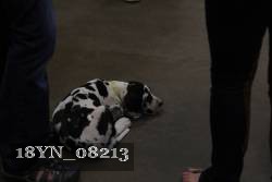 18YN_08213 proof
