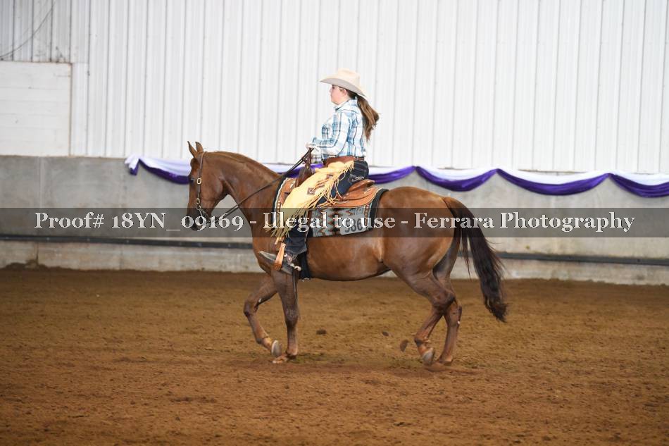 Proof 18YN_09169