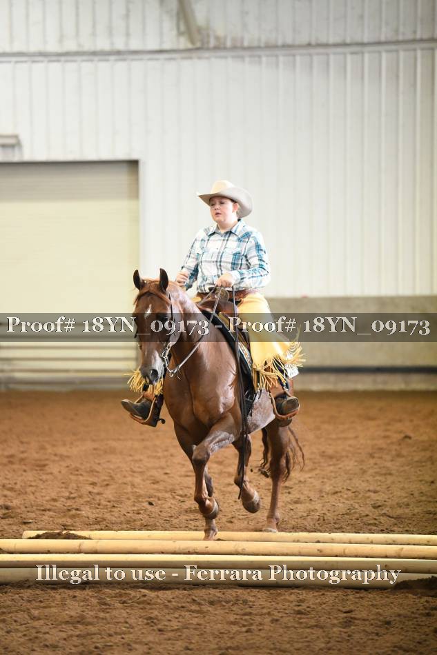 Proof 18YN_09173