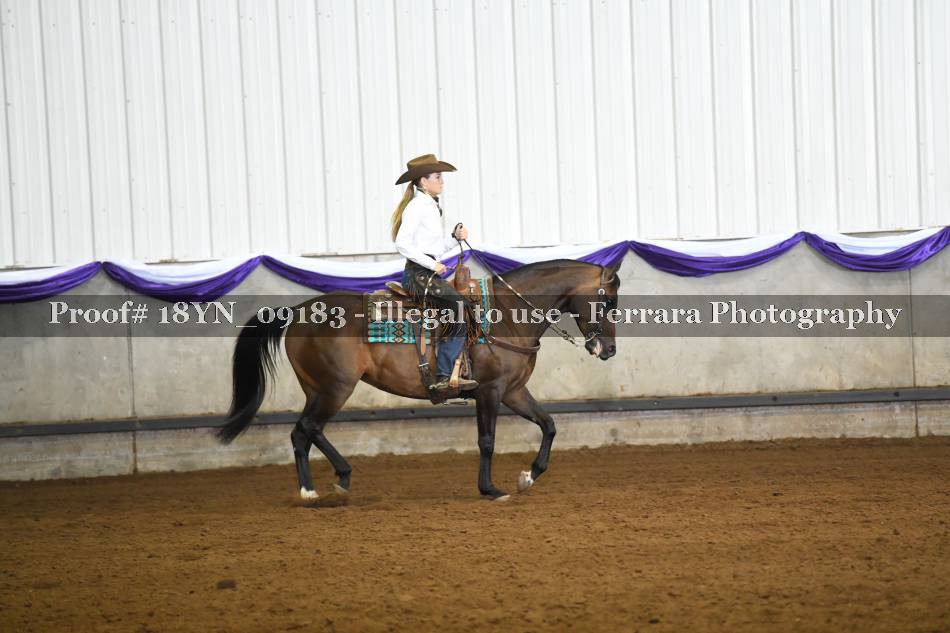 Proof 18YN_09183